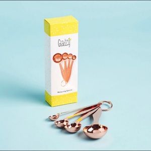 NIB Giadzy Copper Plated Measuring Spoons